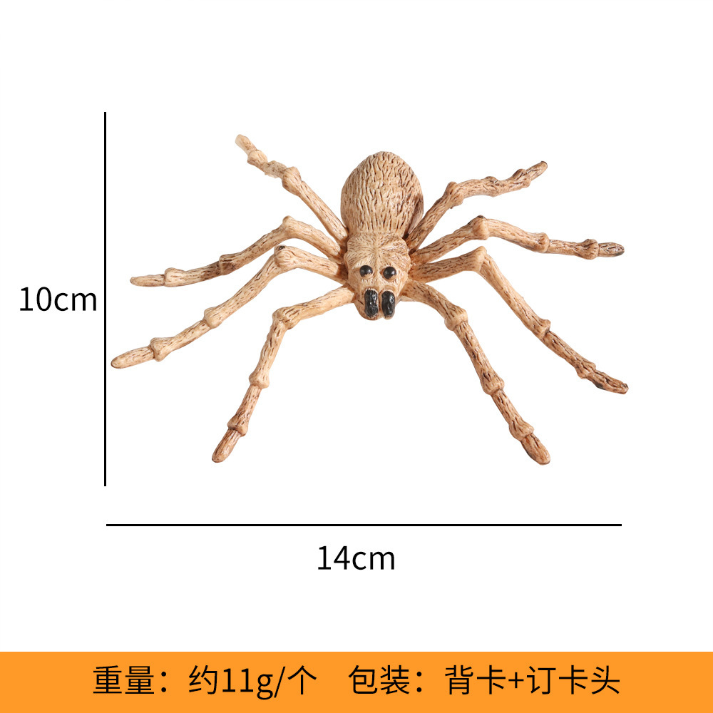 Off-white red-eyed spider