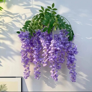 �������ٻ����ϼٻ��ٗl��픻����b�ֲ���c���T�b����ڒ�