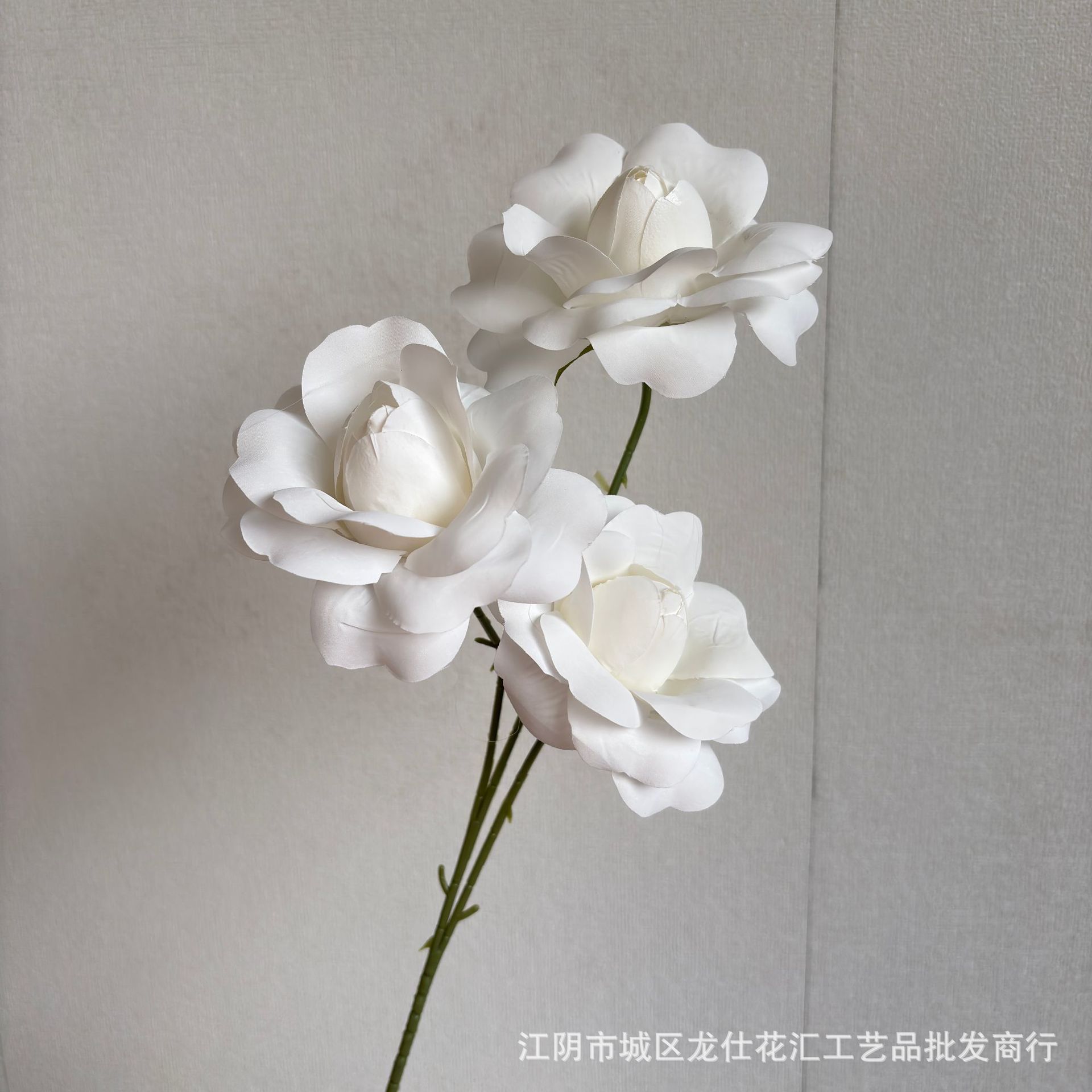꽃잎이 흰색인 장미