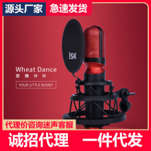 ISK MW麦舞电容麦克风电脑手机直播电台录音设备话筒