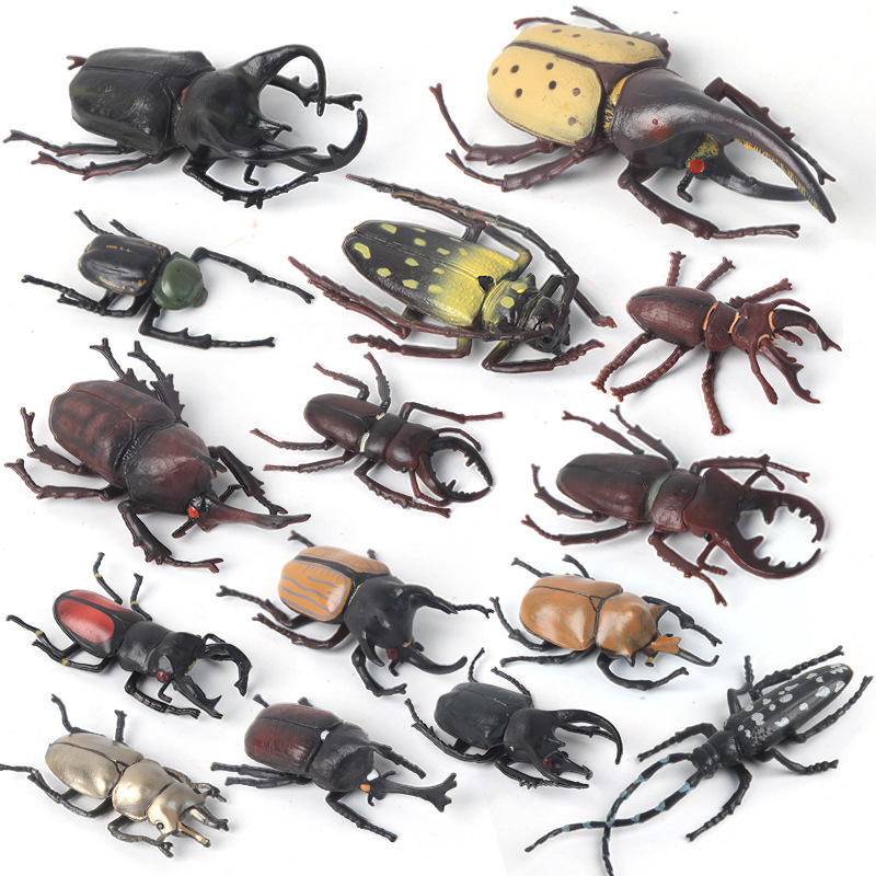 Beetle Model Toy Children's Animal Model Plastic Solid Simulation Wild Insect Spider Early Education Cognitive Toy