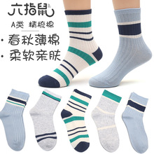 六指鼠儿童袜子批发24春秋薄款精梳棉中大童男童婴儿中筒 A类薄棉
