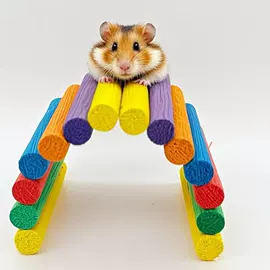 鸟类;其他小宠用品;其他小宠