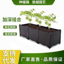 ��ͥ�̨�N�������ϷNֲ�ۻ����߲˷Nֲ�����w�Nֲ��ˈ@����ʽ