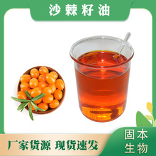 沙棘籽油  沙棘籽萃取 沙棘油 另有沙棘软胶囊厂家现货1KG包邮