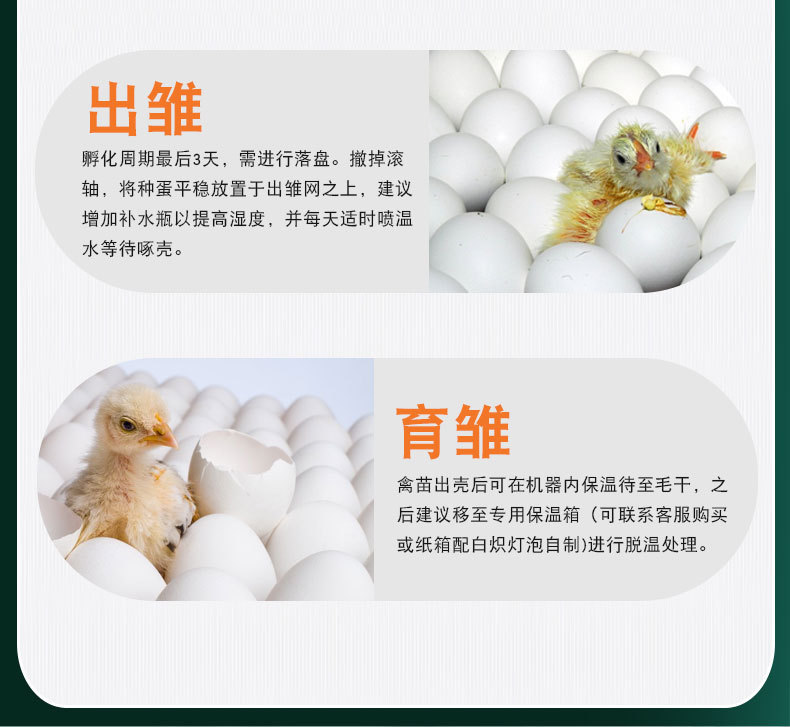 字体排查_11.jpg