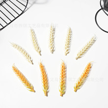 �������ϼٻ����뵾�ȹ�ˇƷ�����b�ˮ�� ��Ʒ���˱Pdiy�ֹ��b