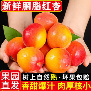 �����֬�t�����r����ˮ���Fժ�����F��̫����������ЋD���Ӱ��]
