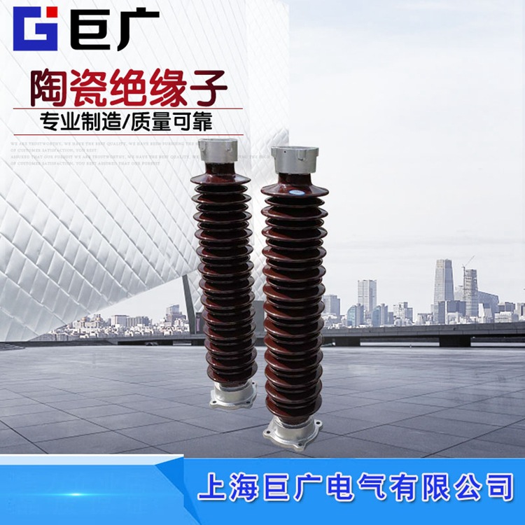 220KV高压线路支柱绝缘子ZSW-252/4/6/8/10母排支撑瓷瓶ZS-110KV