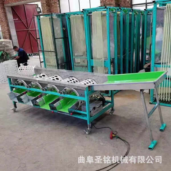Citrus fruit sorting machine