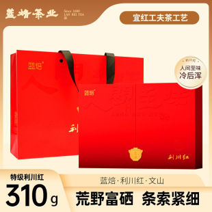 �{�������t���~��󜆹���t���ʩ��ɽ��������ɽ�Y��310���ͶY