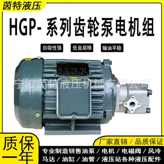 液压油泵电机组1.5KW/0.75KW配HGP-1A/2A高压小型齿轮泵电机总成