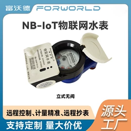 水表;流量计