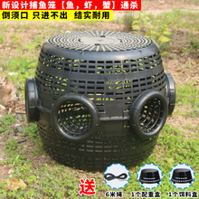 新款6进孔黄鳝笼专用鳝鱼笼子塑料捕鳝神器泥鳅笼鱼笼虾笼倒须笼