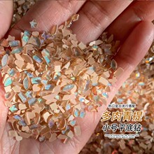 多肉青提小号平底异形钻超闪极光美甲饰品指甲钻装饰配件水晶钻