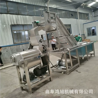木瓜破碎榨汁机 大型304不锈钢油柑果出汁机器 1吨桑葚取汁设备
