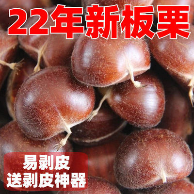 Chestnuts wholesale find Dandong fresh Chinese chestnut Vegetables Chestnut wild Chinese chestnut One piece wholesale