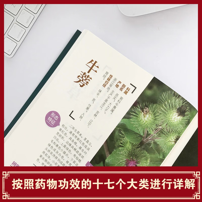 野外认采草药彩色图鉴中草药学野外识别应用彩图大全入门通俗易懂|undefined