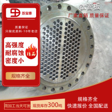 加工TA1TA2各类钛管板 专业数控钻眼 锻造毛坯钛圆板来图可定