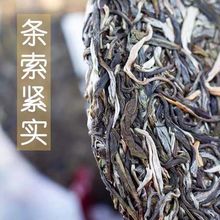 曼松王子山普洱茶茶餅雲南茶葉批發生茶古樹茶特產散茶非熟茶