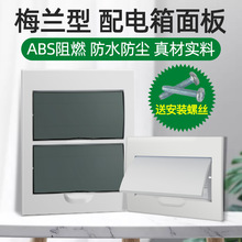 PZ30強電配電箱蓋板電源控制家用12/15/18梅蘭表箱開關盒蓋子面板