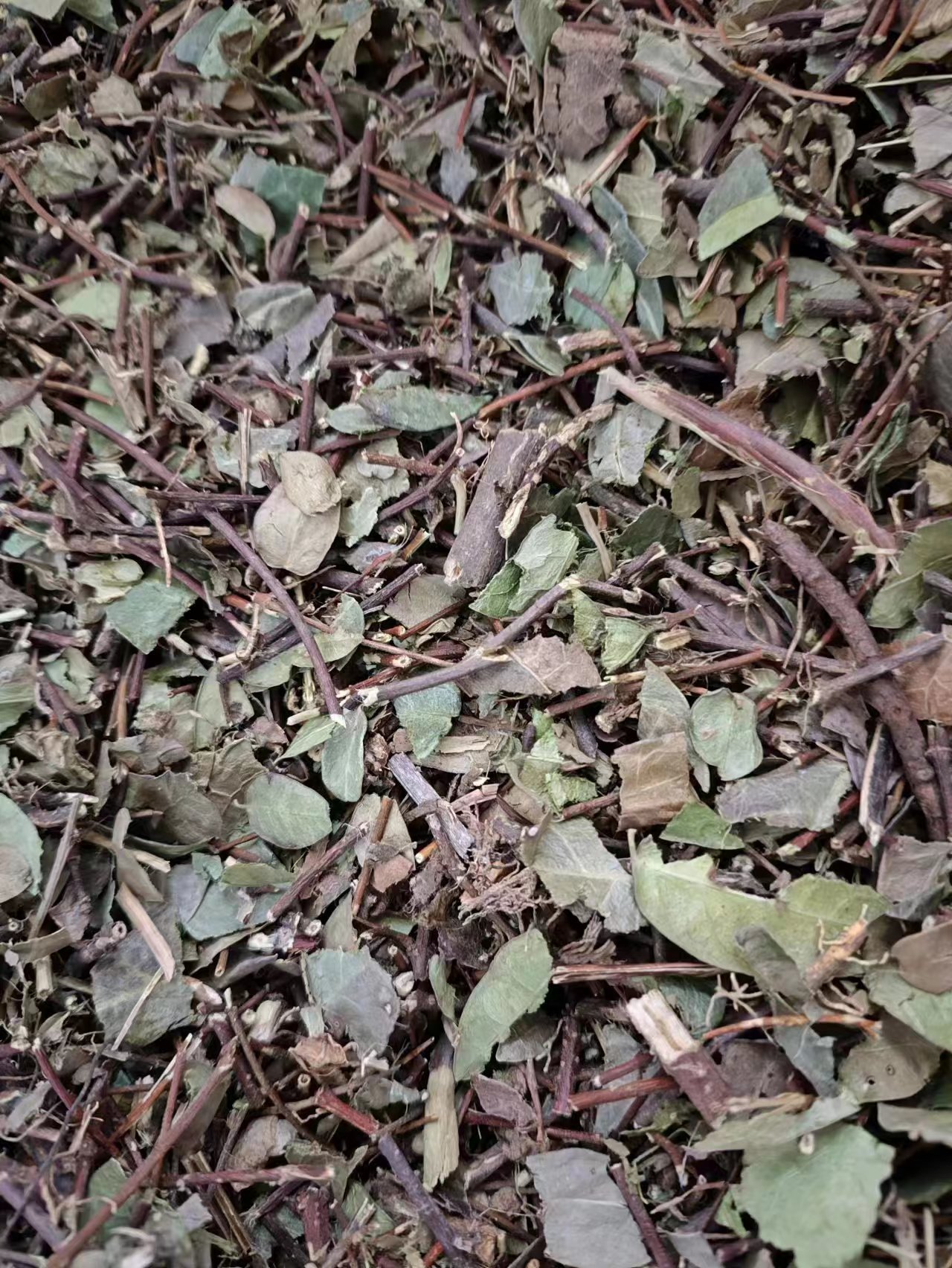 Luo Shi Teng (Trachelospermum jasminoides) — Dried Star Jasmine Stem for Herbal Tea & Decoction key features
