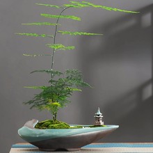 �����G�Gֲ�辰�����մ��Ϙ��Gֲ�����쾰����Ô[���辰��ɰ��