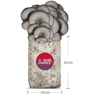 Ģ���Nֲ�� ƽ�����N ��ͥ�Լ��NĢ������ ʳ�þ����N �����Nֲ��