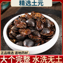 ��Ԫ ���M�x �ǻ��x�� ��Ԫ�� ���M�x 500g�˰��] ɢ