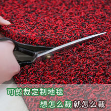 絲圈地墊進門入戶門墊門廳防滑墊家門口防滑防水塑料蹭土腳墊地毯