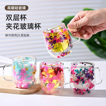 跨境高硼硅双层玻璃干花杯家用咖啡杯耐高温茶水杯真花创意饮料杯