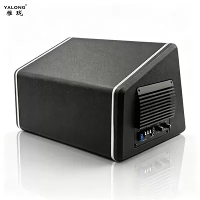 Customization, Car speaker/subwoofer