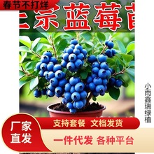 ���{ݮ�������{ݮ�����Ե��Թ������ϱ����Nֲ�����۾G��ʯ����