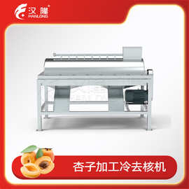 大型工业不锈钢杏子青梅桃子李子加工冷去核机水果核肉分离机厂家