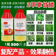 ��ݠ��������ݸ�좶������ȏ������ș�����׳��݄��rș���^�ĵ�