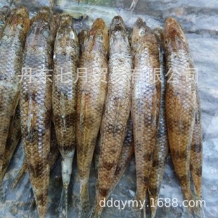 �|����ˮ�~С���~ɳ�ﹽ�~�����~���q�~�����~�S��~�y�~ҰҰ��