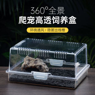 �������x��B������޽��،m�߽��ܼ��x�Q�����}��C����������͸