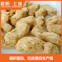 时产500公斤组织蛋白生产线 拉丝蛋白生产线 组织蛋白机械设备