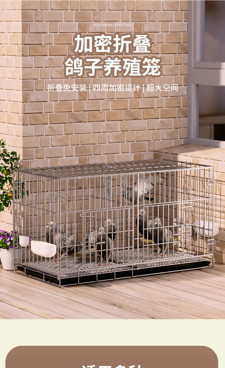 15e5b663-5214-48d1-857f-985741adb403.jpe