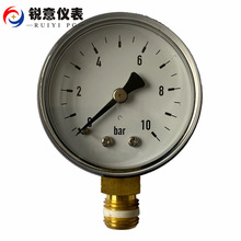 帶聚氟乙烯壓力表 帶密封圈壓力表 BSP塑殼壓力表 跨境電商壓力表