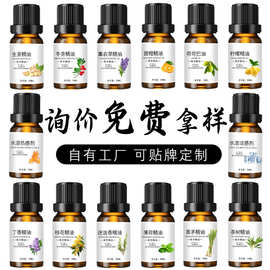 免费拿样单方油溶茶树薄荷生姜油植物香料生姜艾叶热感剂植物精油