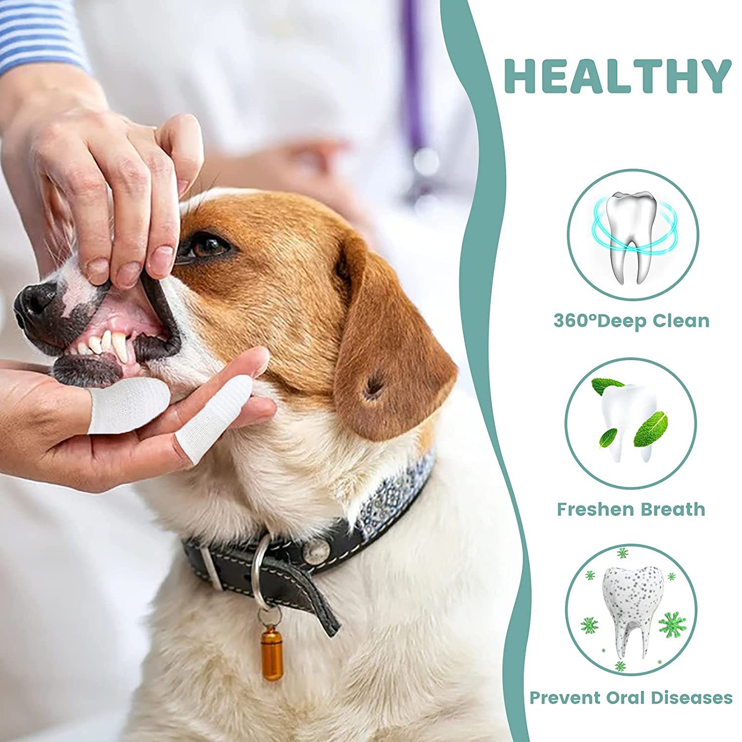 71Q-V7ra5iL._SL1500_