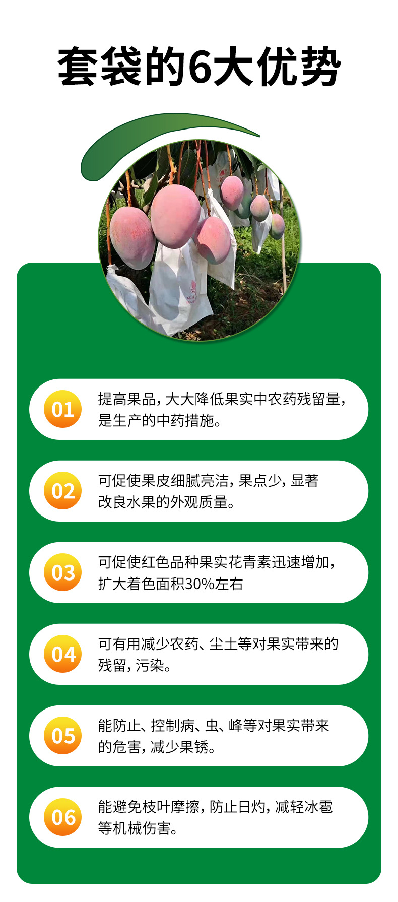 详情2_06
