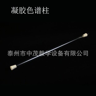 27025���zɫ�V��20mm&times;500mm�ЌW������Ľ̌W�x�����zɫ�V��