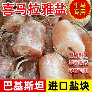 �R���}ţ������K�M���}�K�R��uϲ�R�����}�Kʯ�}�u�}�K�I�B���