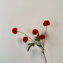 ���Ʒ�����տ羳5�^С���С�[��Ҿ��bٻ���N�ɫ�ߴ�ӹ�