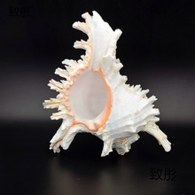 �S�ҬF؛���lǧ������Ȼؐ������ǧ�ִ����~��ˮ�����쾰�Ҿ��ղ�