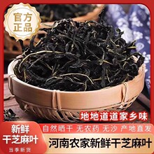 农家自制芝麻叶河南特产纯正无添加炒菜凉拌菜自晒官方旗舰店