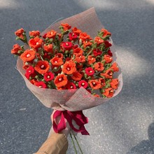 ��Ʒë�����L⏻����ֹ��h���ͶY��̎������˹����I�Y�ﻨˇ�[��