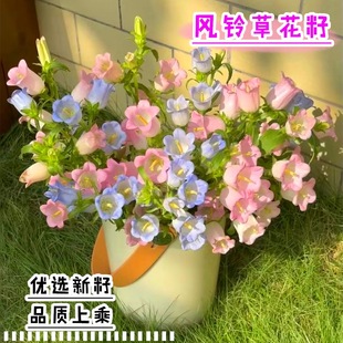 �L⏲ݻ��N�҃���ͥԺ��m�������ļ��_���������L⏻��׻�N��